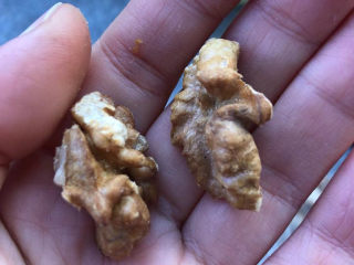 6、桂圆鸡蛋汤,再加掰碎的核桃。