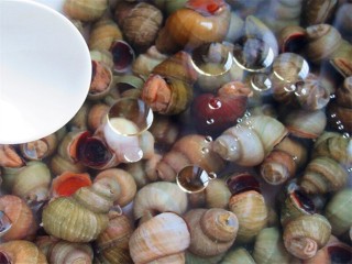 2、开胃麻辣螺蛳,加几滴芝麻油，泡一晚上，春季很多螺蛳里面有很多小螺蛳，用一些油让大螺蛳吐出小螺蛳和脏气，螺蛳处理还真是一道很麻烦的工序，处理简单就会不干净，所以这道菜基本被处理过程占了一大部分时间，为了吃这道美食，你可要耐住性子坚持下去哦