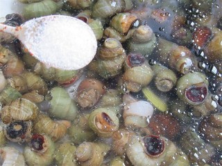 3、开胃麻辣螺蛳,泡了一晚上的螺蛳我们再来狠一点的招，加一些盐在水里继续逼螺蛳就范，盐也可以起到杀菌的作用