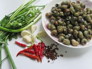 4、开胃麻辣螺蛳,在等待的过程中，我们来准备好其他材料，怕吃辣的，可以少放一些辣椒和胡椒粉