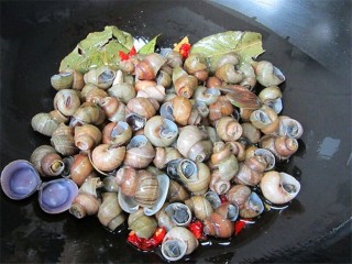 8、开胃麻辣螺蛳,倒入螺蛳翻炒一会儿