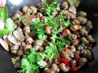 10、开胃麻辣螺蛳,煮至汤快收汁，放入葱蒜、香葱、胡椒粉、辣椒面调味，不能吃辣的可以不放辣椒面，我是特能吃辣的，所以多放了些，而且放辣椒面，汤汁颜色会特别好看