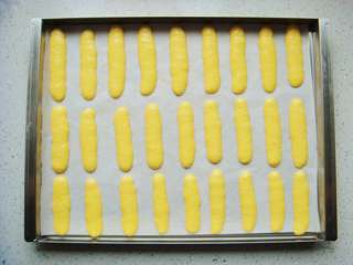 10、零添加版蛋黄手指饼干,烤盘铺上不沾垫或者油布，把蛋糊装入裱花袋里，挤入烤盘中。中间要留有缝隙，烤制过程中会涨大一些。