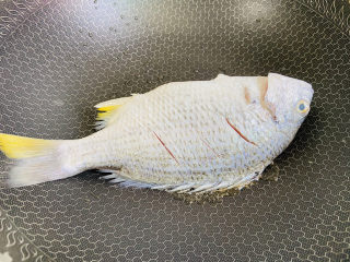 8、豆腐鱼头汤,放入黄翅鱼小火慢煎片刻