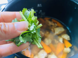 21、胡萝卜炖羊肉,撒香葱