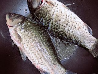 6、冬瓜鲫鱼汤,放入鲫鱼,中小火煎制,煎1分钟翻面。