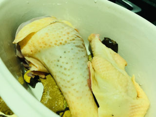 8、牛肝菌炖鸡,直接放入炖锅;