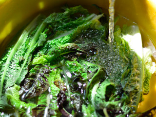 2、凉拌莴笋叶,在清水中浸泡一会