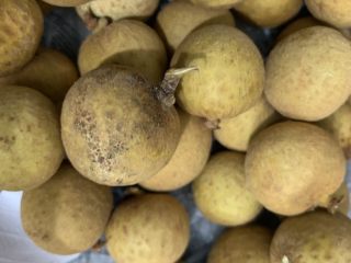 1、桂圆炖蛋,桂圆