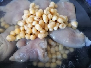 10、黄豆猪脚汤,放入黄豆一起炖