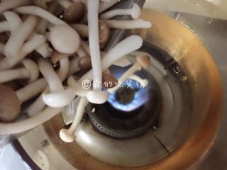 5、花蛤豆腐汤,汤锅里放适量水，把菇菇一起放进去。
