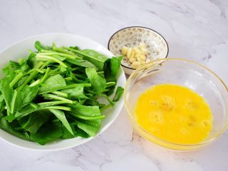 2、鸡蛋炒菠菜,菠菜洗净控干水分切成寸段，鸡蛋搅打均匀备用，蒜切末