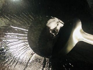 10、海带豆腐汤,锅内放入适量油烧热