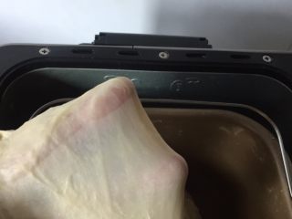4、烫种牛奶吐司,揉至面团完全扩展阶段，可以扯出较为结实的薄膜。