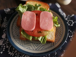 17、三明治,加西红柿片和火腿