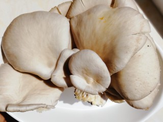 1、平菇豆腐汤,鲜平菇150g