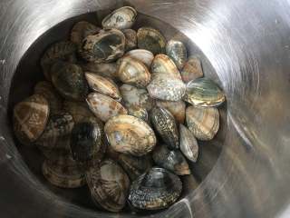 1、冬瓜蛤蜊汤,蛤蜊吐沙2小时