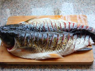 2、香辣烤鱼,中间切开，但是不要切断。