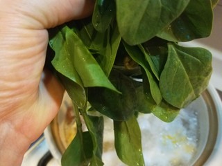 12、芙蓉鲜蔬汤,加入一把菠菜苗。