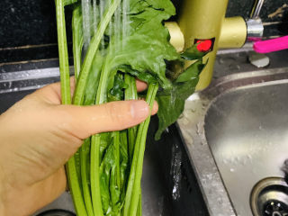 3、猪肝菠菜汤,选了一颗最大的菠菜煮汤，将菠菜洗净；