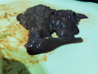 9、猪肝菠菜汤,猪肝洗净切片；