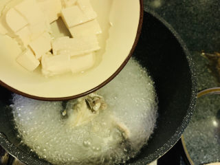 8、奶白鲫鱼豆腐汤,加入豆腐；