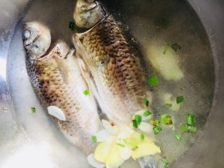 15、鲫鱼汤,放入适量的开水没过鱼即可