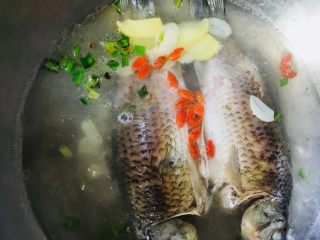 16、鲫鱼汤,放入枸杞