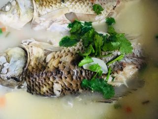 24、鲫鱼汤,撒上香菜叶即可出锅