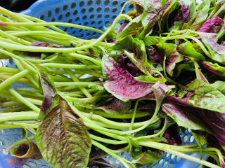 3、苋菜豆腐汤,沥干水分