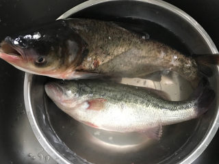 2、剁椒鱼头,当天买了二条鱼，鲈鱼清蒸后送给老妈的，因为想吃剁椒鱼头了、所以又买了条大花鲢，鱼身则做了焗鱼块