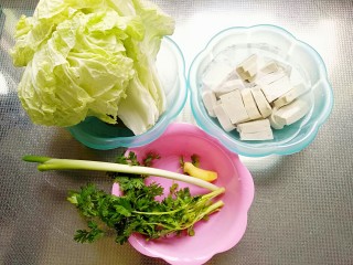 1、白菜豆腐汤,准备食材，豆腐切块(长3cm、宽2cm、厚5mm)冷水下锅，放半勺盐，开锅煮2~3分钟，捞出过凉
