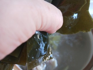 9、羊骨头汤,加入海带。