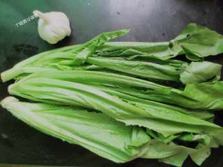 1、蒜蓉油麦菜,准备油麦菜和蒜头