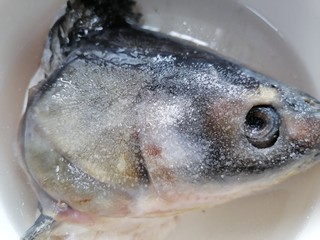2、豆腐鱼头汤,鱼头上撒一些盐搓去粘液