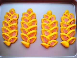 15、南瓜香肠麦穗面包,发酵至稍微变大。