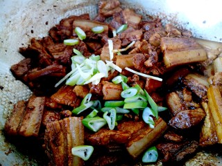 8、猪肉炖粉条,放入葱花、姜丝、八角翻炒出香味。