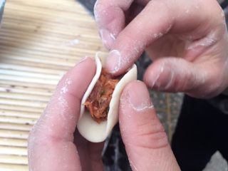 14、胡萝卜大葱猪肉饺子,擀成薄皮，包入适量肉馅儿；