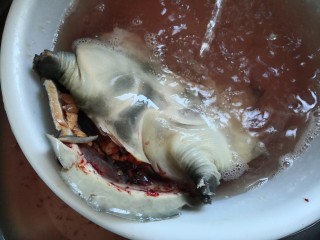 6、清炖甲鱼汤,再用刀将甲鱼破开，洗去血水