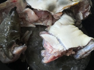 14、清炖甲鱼汤,甲鱼冷水下锅