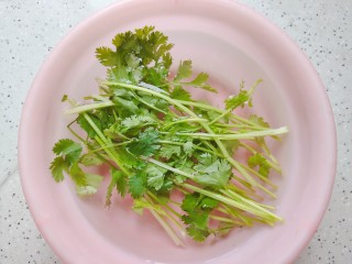 6、豆腐鱼头汤,香菜摘洗干净之后用清水浸泡，备用