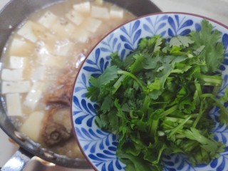 23、豆腐鱼头汤,加入香菜，即可