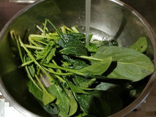 3、菠菜猪肝粥,菠菜择去老叶  清洗干净