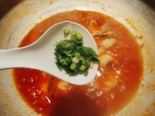 15、番茄黑鱼片,放入香葱 香菜增香