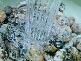 3、丝瓜花蛤汤,煮之前，用水冲洗干净