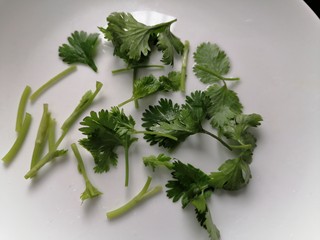 5、海带豆腐汤,香菜洗干净切成均匀的段