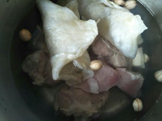 9、鱼胶猪骨汤,再放入余下的材料。大火煮沸后转小火煮一个半小时。