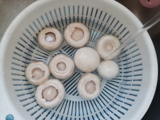 2、口蘑汤,口蘑洗干净控干水分