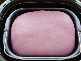 6、紫薯软欧包,面团发酵好了，开始整形。