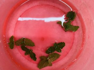 12、百香果水煮鱼(向往的生活同款),薄荷叶放水里泡着，免得蔫了。